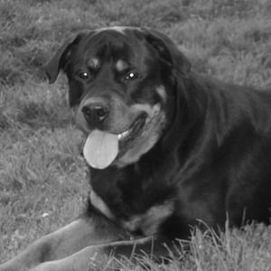 Meet your Posher, Karen